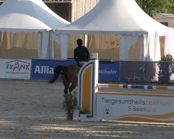 Reitturnier Karlsfeld/Obb. 2024