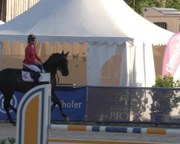 Reitturnier Karlsfeld/Obb. 2024