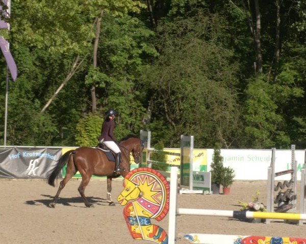 Reitturnier Karlsfeld/Obb. 2024