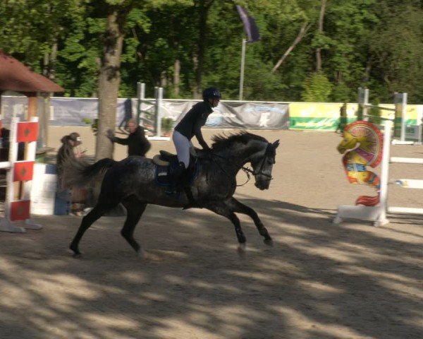 Reitturnier Karlsfeld/Obb. 2024