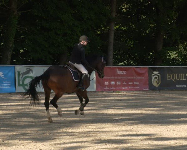 Reitturnier Karlsfeld/Obb. 2024