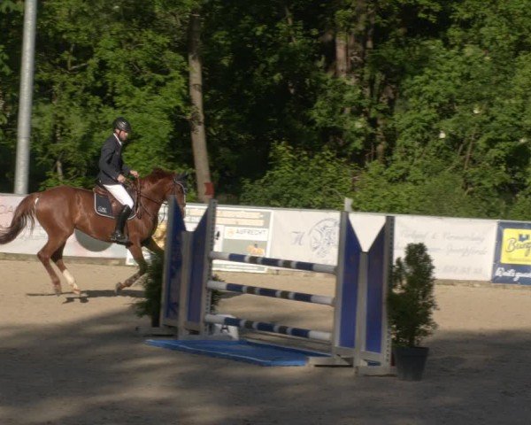 Reitturnier Karlsfeld/Obb. 2024