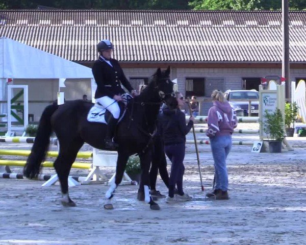 Reitturnier Kropp 2024