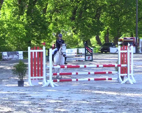 Reitturnier Kropp 2024