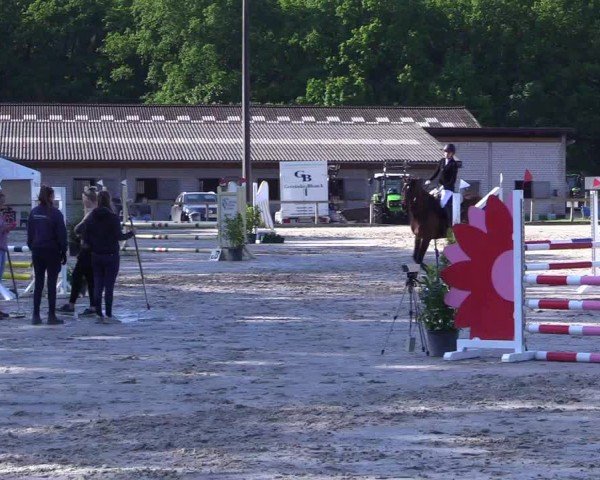 Reitturnier Kropp 2024