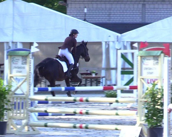 Reitturnier Kropp 2024