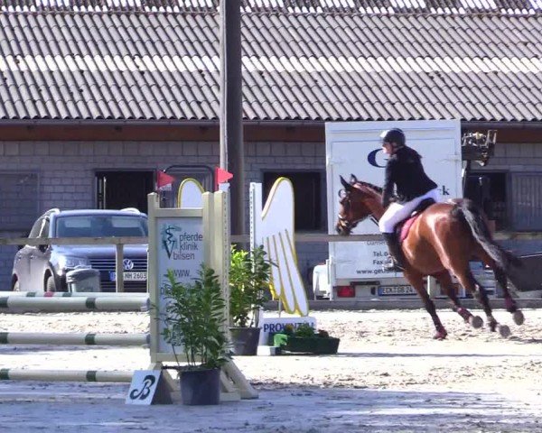 Reitturnier Kropp 2024
