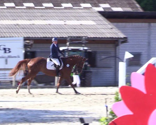 Reitturnier Kropp 2024
