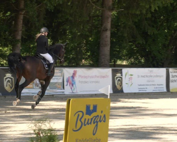 Reitturnier Karlsfeld/Obb. 2024