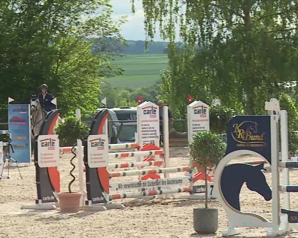 Reitturnier Landenhausen 2024