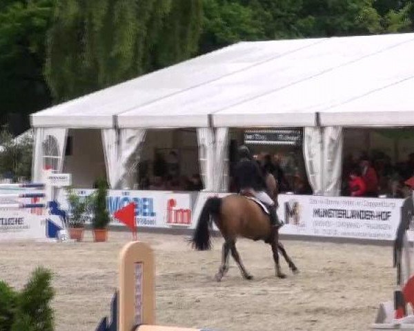 Weser Ems Meisterschaften Cloppenburg 2012