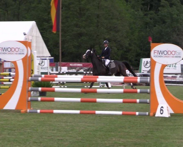 Reitturnier Horka 2024