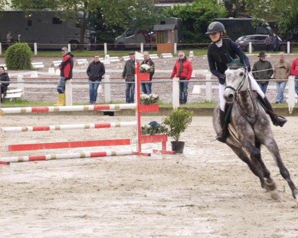 Reitturnier Forst 2024