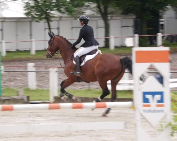 Reitturnier Forst 2024