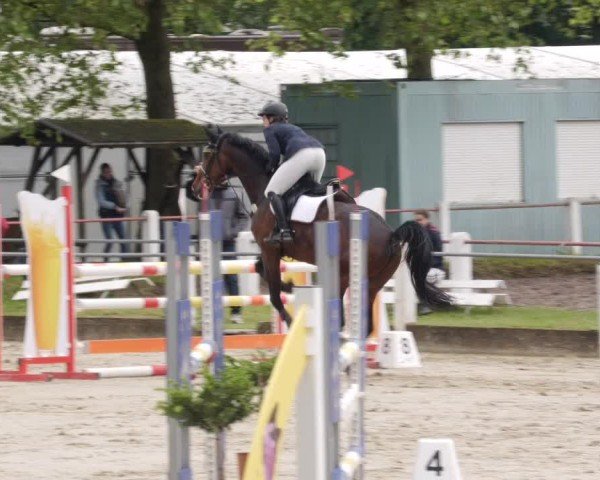 Reitturnier Forst 2024
