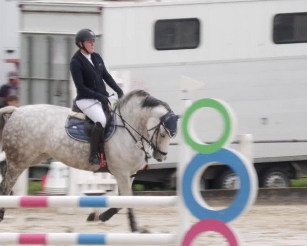 Reitturnier Forst 2024