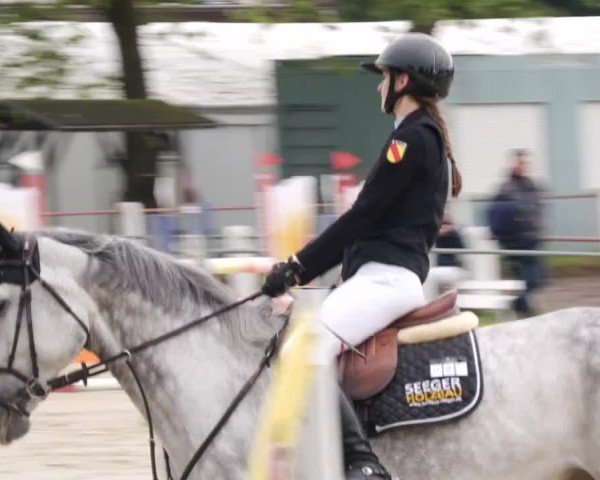Reitturnier Forst 2024