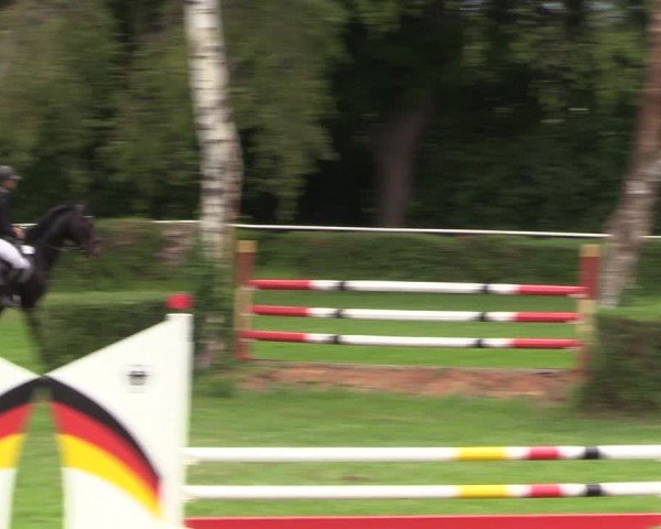 Reitturnier Westeregeln 2024
