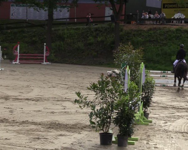 Reitturnier Iserlohn-Kalthof 2024