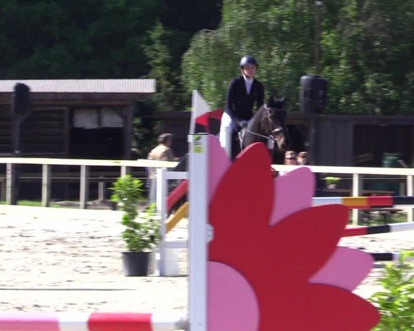 Reitturnier Kropp 2024