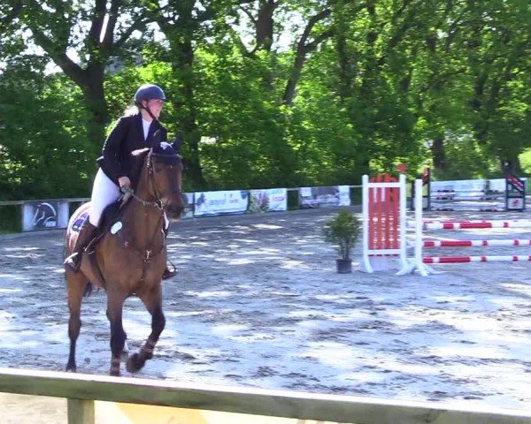 Reitturnier Kropp 2024