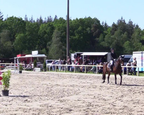 Reitturnier Kropp 2024