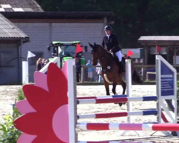 Reitturnier Kropp 2024