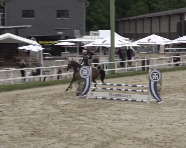 Reitturnier Siegen-Weidenau  2024