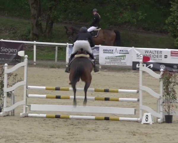 Reitturnier Siegen-Weidenau  2024