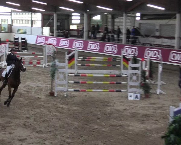 Winter Hallen Reit- und Springturnier, Reithalle Rohmann 2021