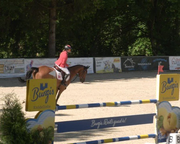 Reitturnier Karlsfeld/Obb. 2024
