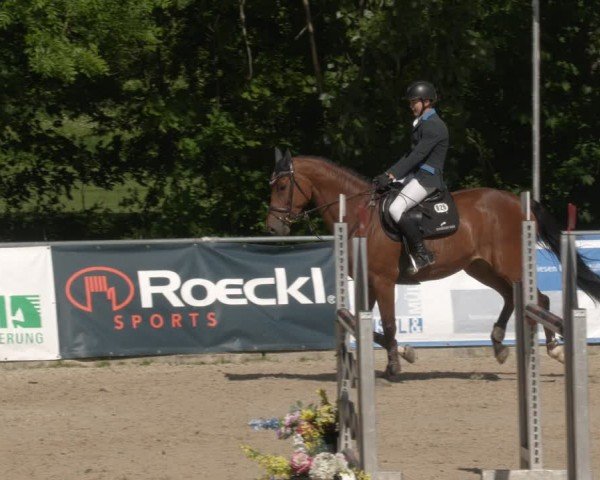 Reitturnier Karlsfeld/Obb. 2024