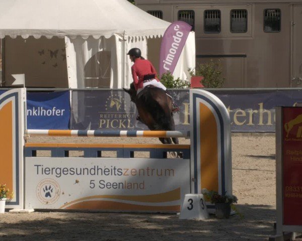 Reitturnier Karlsfeld/Obb. 2024