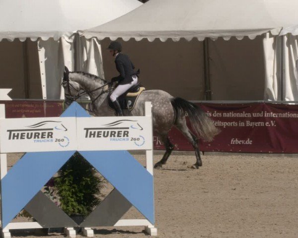 Reitturnier Karlsfeld/Obb. 2024