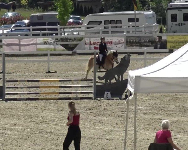 Reitturnier St. Margarethen 2024