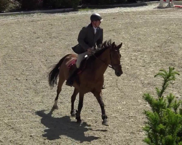 Reitturnier St. Margarethen 2024