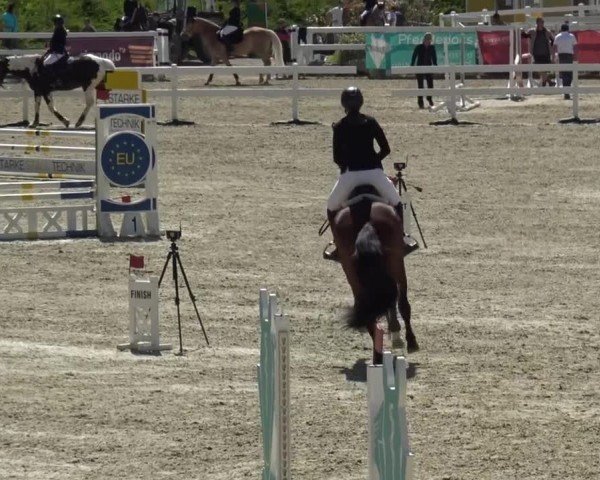 Reitturnier St. Margarethen 2024
