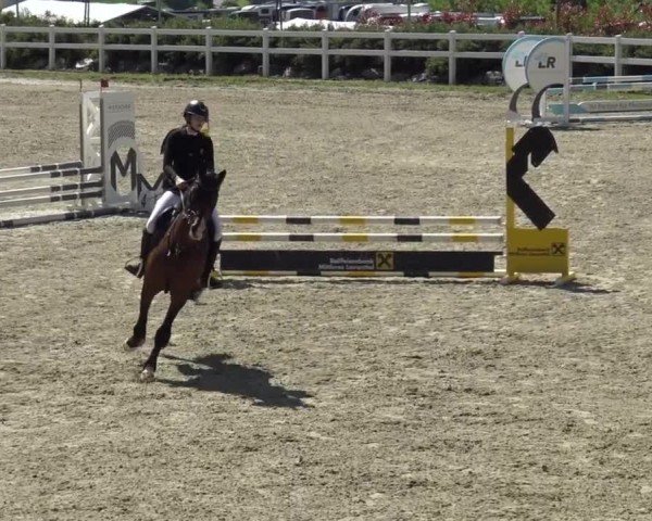 Reitturnier St. Margarethen 2024