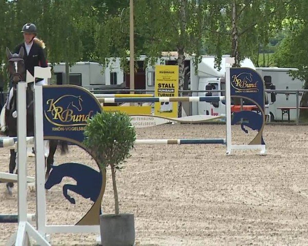 Reitturnier Landenhausen 2024