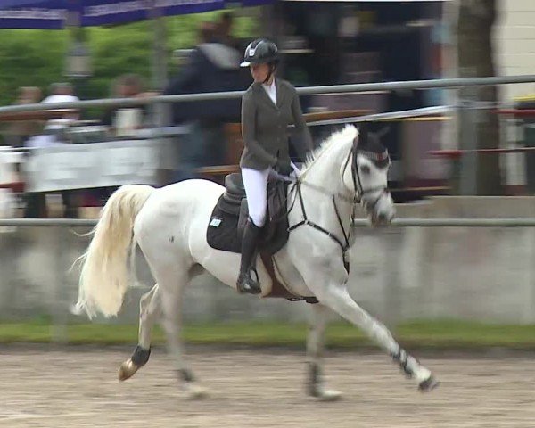 Reitturnier Landenhausen 2024