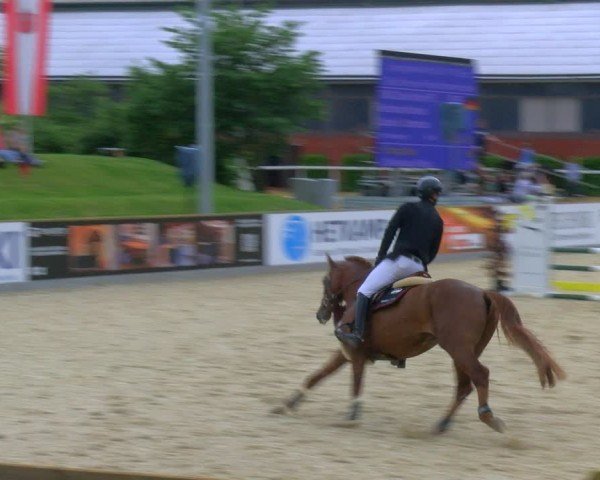 Reitturnier Borken 2024