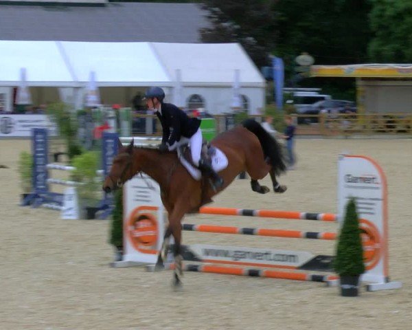 Reitturnier Borken 2024