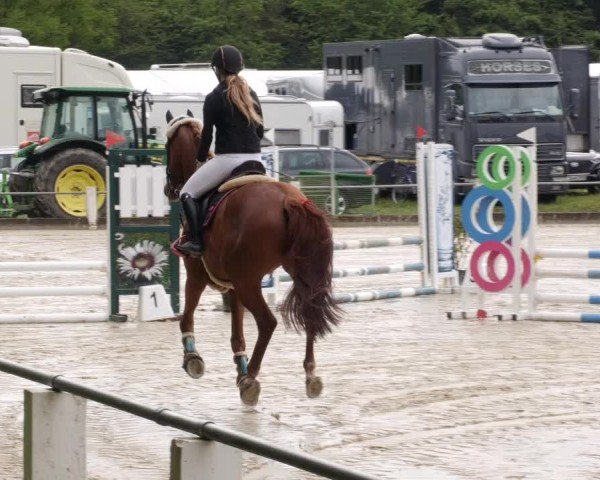 Reitturnier Forst 2024