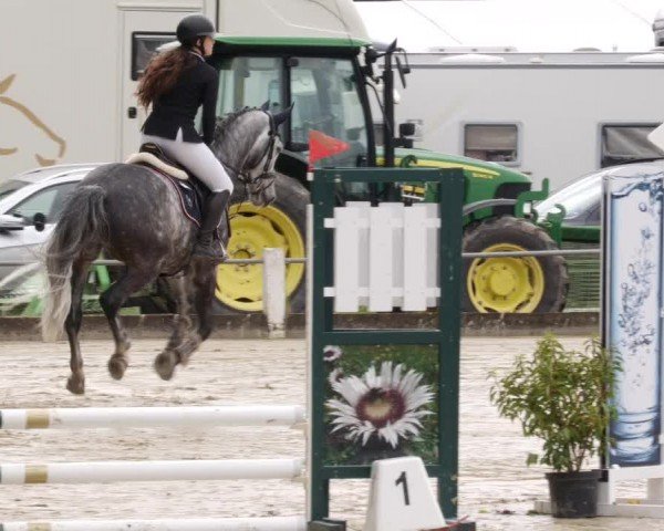 Reitturnier Forst 2024