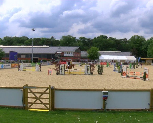 Reitturnier Borken 2024