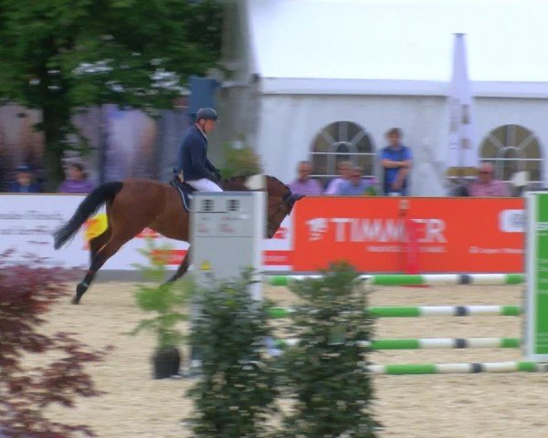 Reitturnier Borken 2024