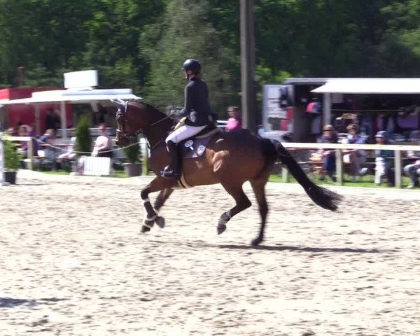 Torneo Equestre Kropp 2024