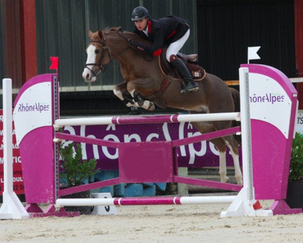 broodmare Rosee de Mons (French Pony, 2005, from Idem de B'Neville)