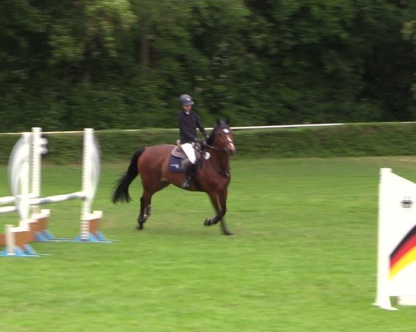 Reitturnier Westeregeln 2024