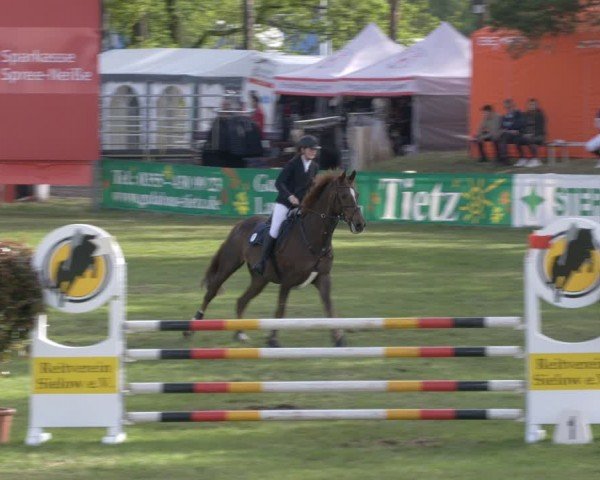 Reitturnier Cottbus-Sielow 2024